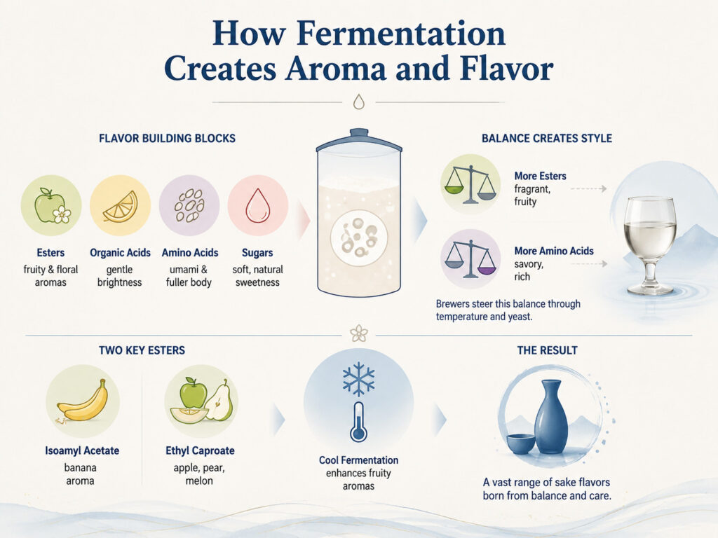 How Fermentation Creates Aroma and Flavor