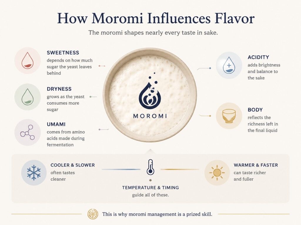 How Moromi Influences Flavor