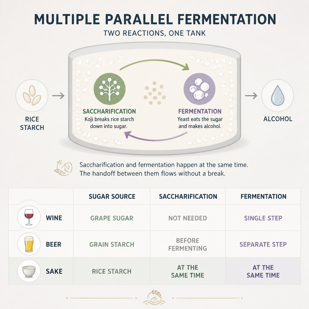 Understanding Multiple Parallel Fermentation