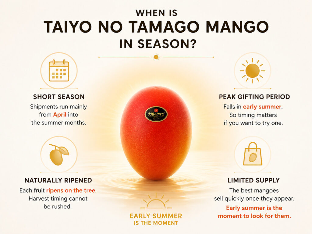 When Is Taiyo no Tamago Mango in Season?