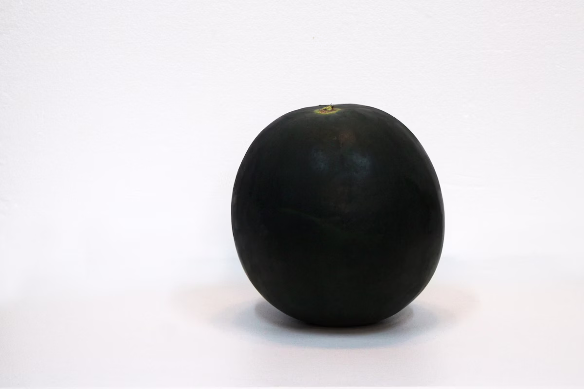 black jack water melon