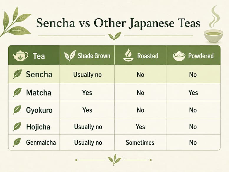 Comparison of several Japanese green tea styles.