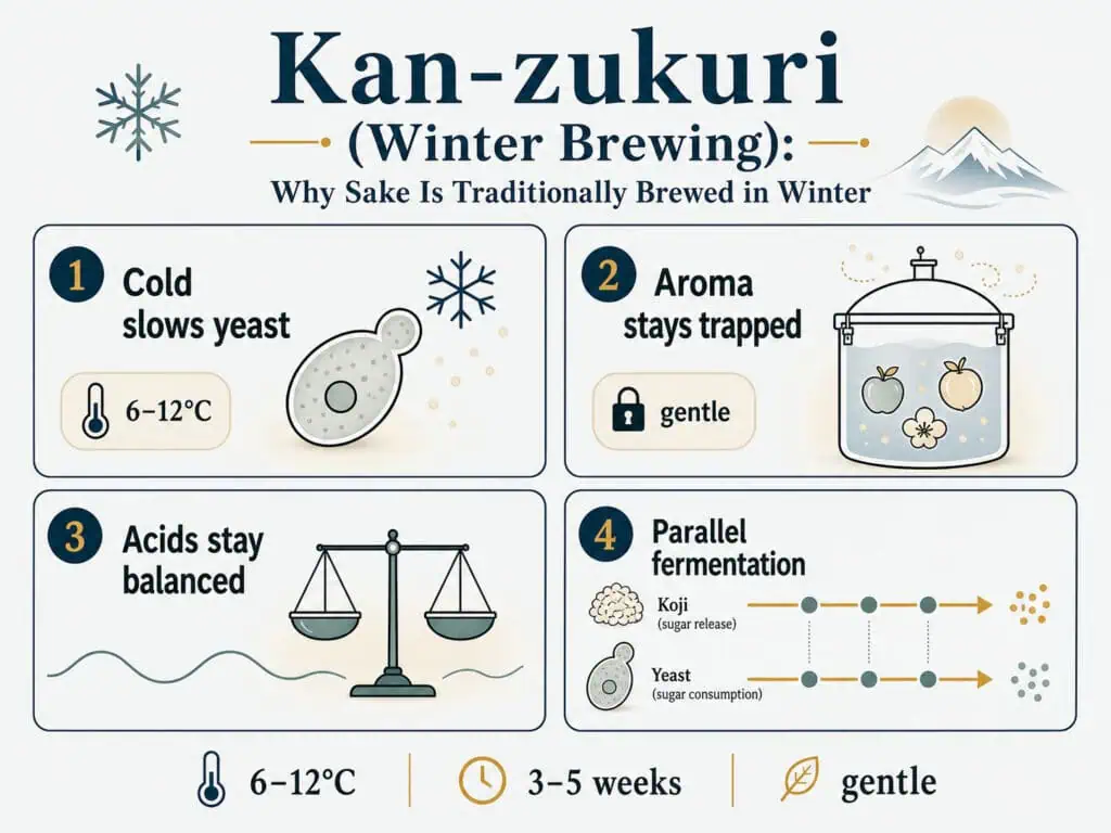 The Science Behind Cold Fermentation