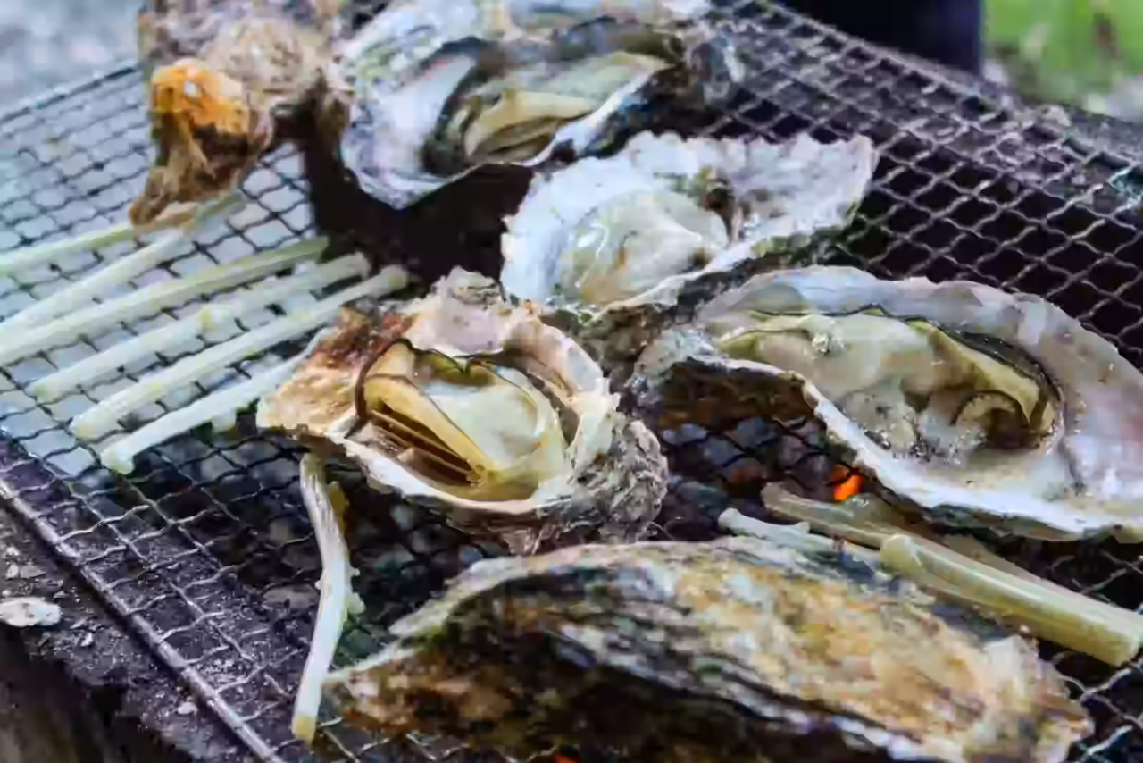 sanriku oyster