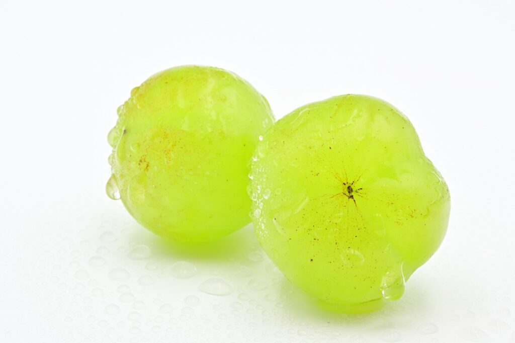 Fresh Seto Giants grapes with water droplets on a white background.