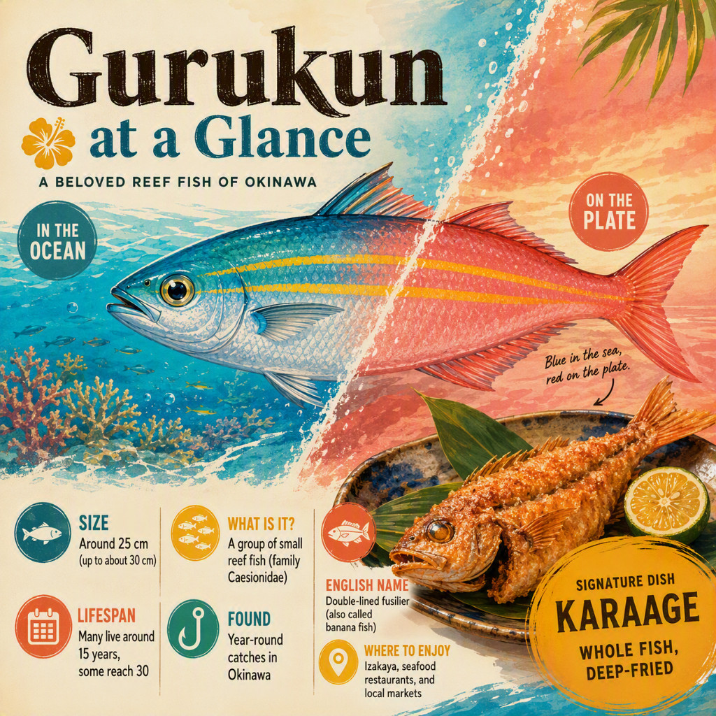 Gurukun at a Glance