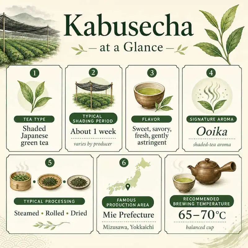 Kabuse cha at a Glance