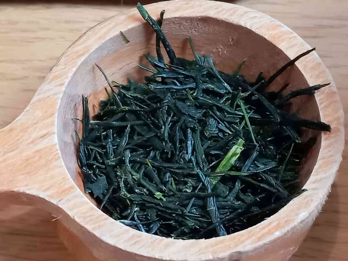 Freshly harvested Kabusecha tea leaves in a wooden bowl, used for premium Japanese green tea.