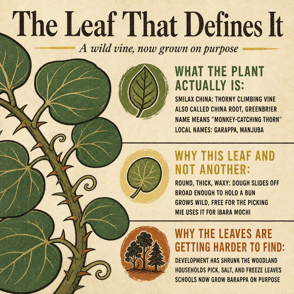 The Leaf That Defines It