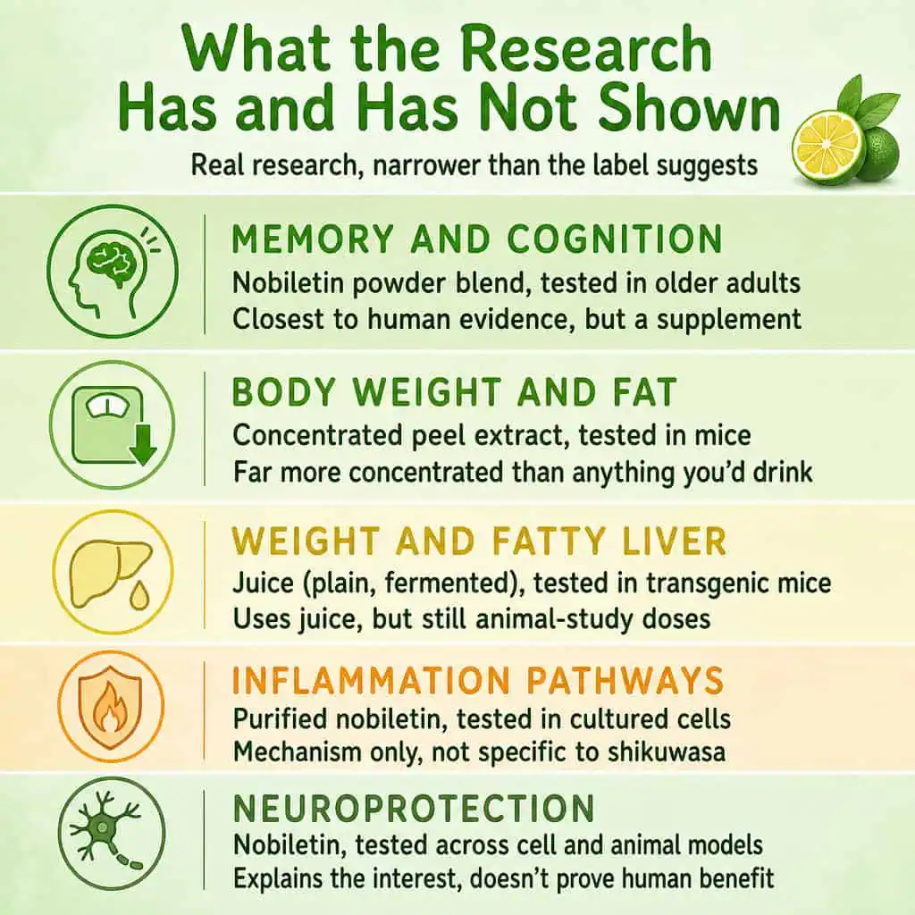 What the Research Has and Has Not Shown