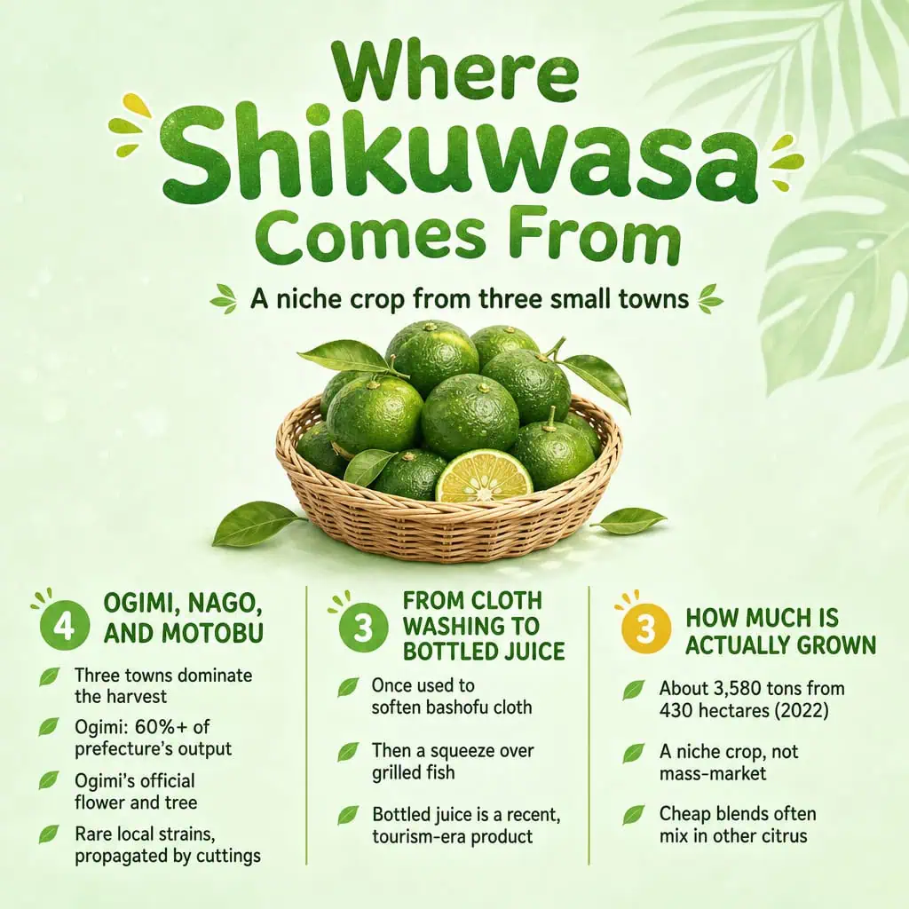 Where Shikuwasa Comes From