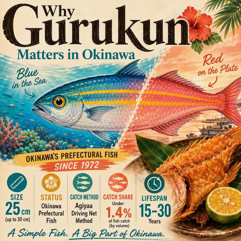 Gurukun fish illustration showing blue in the sea and red on the plate.