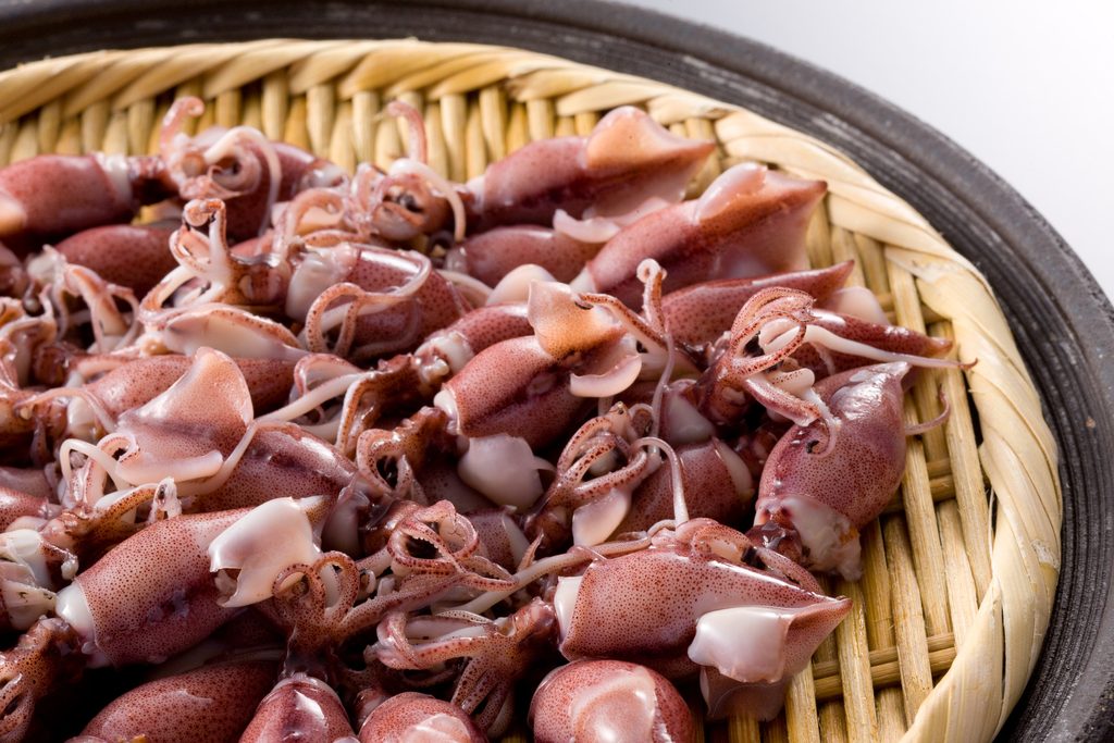 Fresh firefly squids on a bamboo tray, popular in Japanese cuisine.