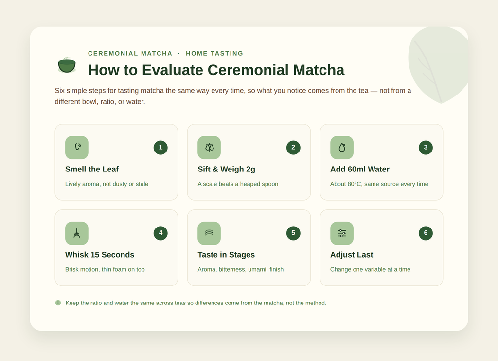 Step-by-step guide to evaluating ceremonial matcha for tea tasting.