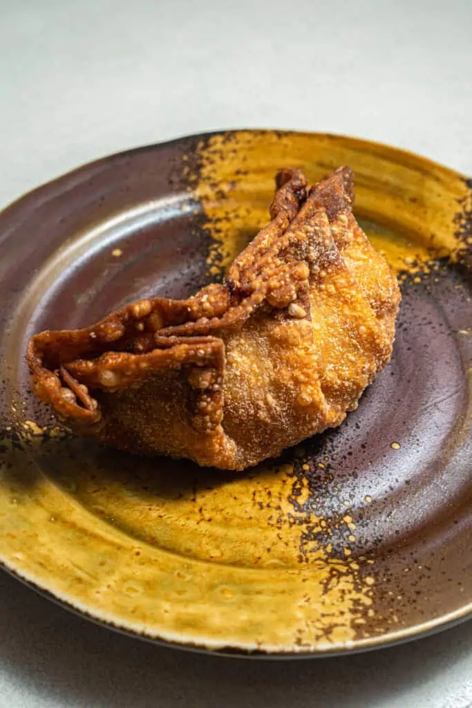 Crispy fried gyoza on a decorative ceramic plate in Japan.