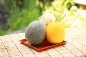 Thank You Melon (サンキューメロン) Thank you melon 八竜メロン