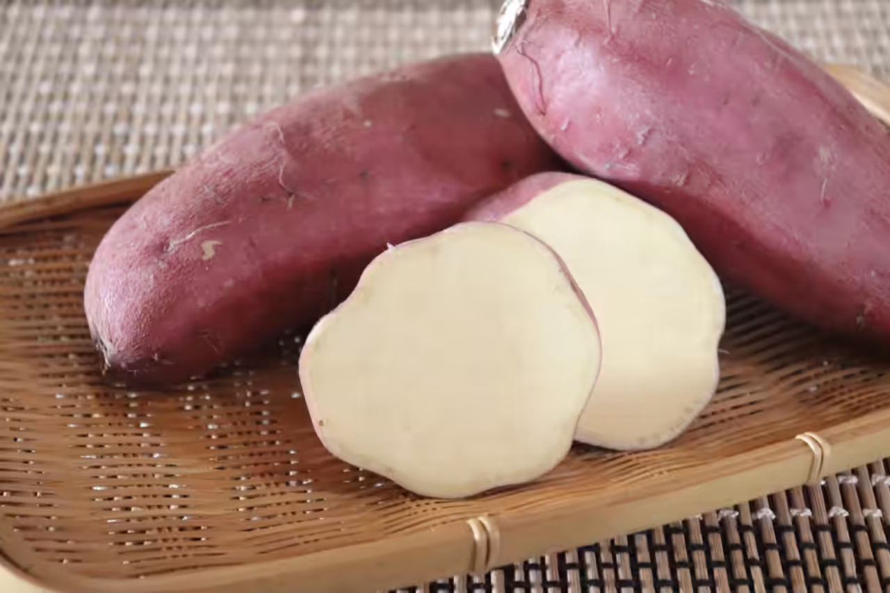beni azuma sweet potato