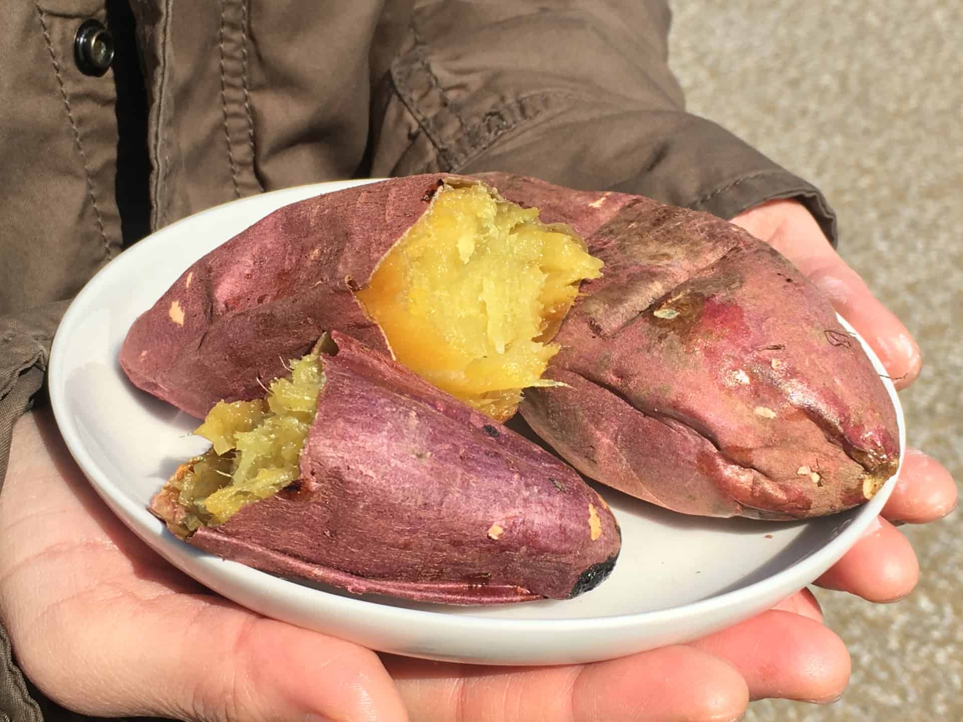 Beniharuka Sweet Potato (紅はるか)