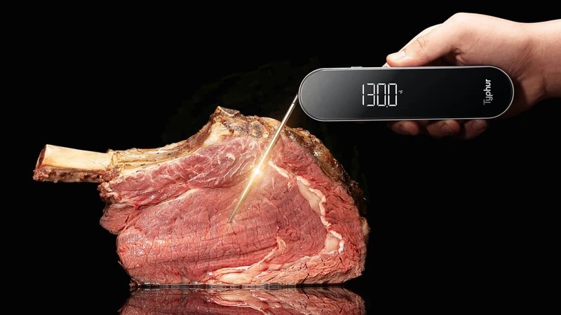meat thermometer
