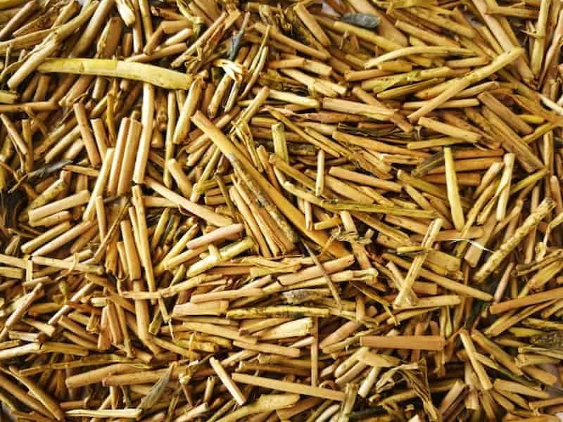 Dried Kaga Bocha tea stems filling the frame in a close-up view.