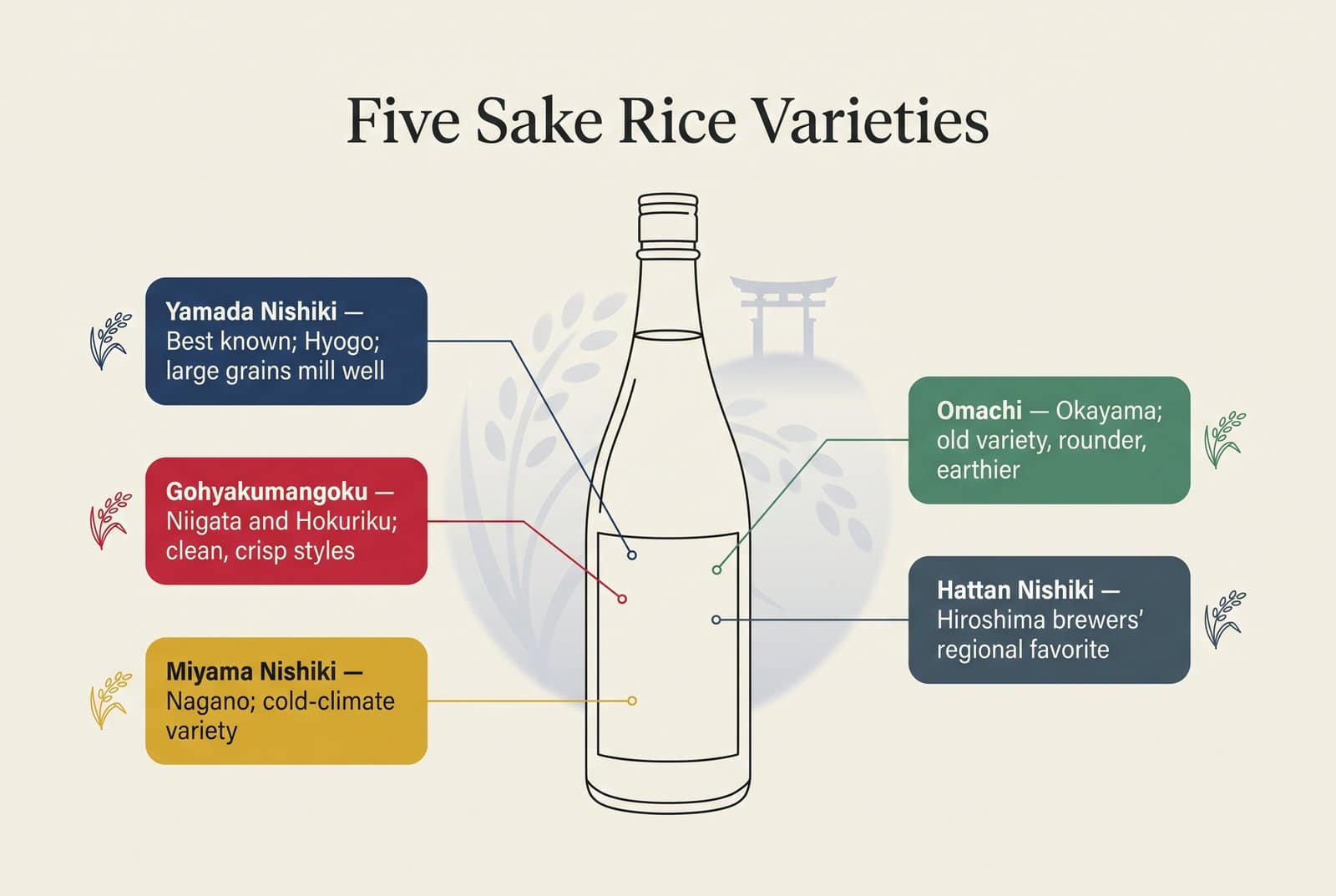 Schéma annoté d'une bouteille de saké présentant cinq variétés de riz à saké : Yamada Nishiki, Gohyakumangoku, Miyama Nishiki, Omachi et Hattan Nishiki