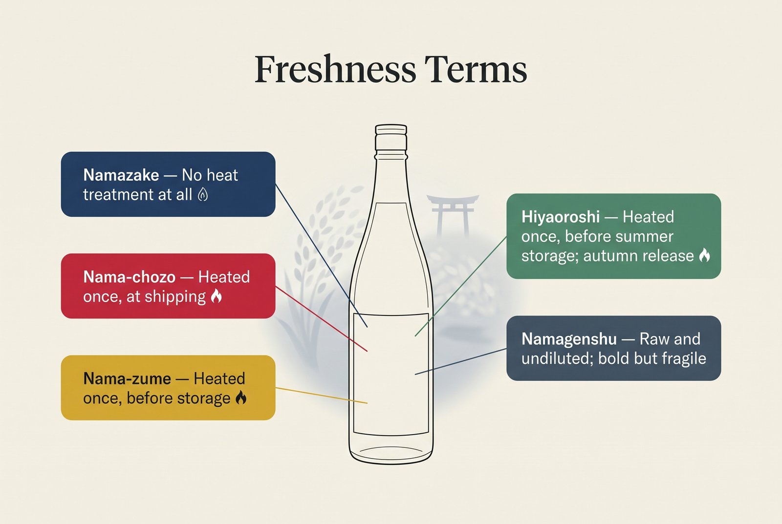 Schéma annoté d'une bouteille de saké présentant cinq termes de fraîcheur : namazake, nama-chozo, nama-zume, hiyaoroshi et namagenshu