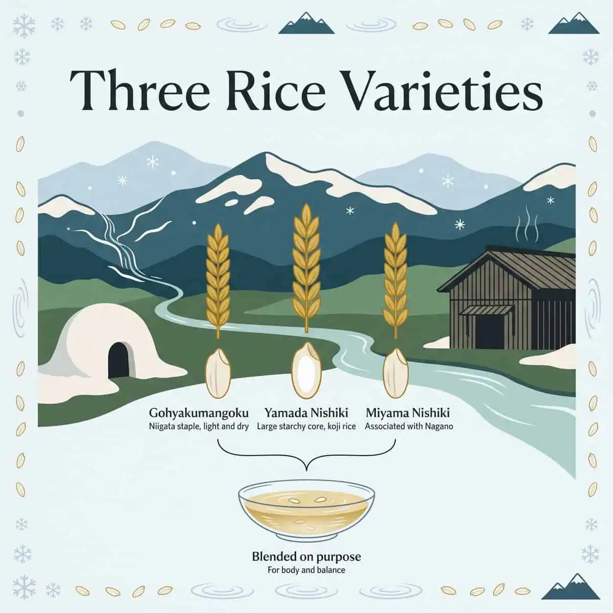 Illustration of three rice varieties used by Hakkaisan: Gohyakumangoku, Yamada Nishiki and Miyama Nishiki