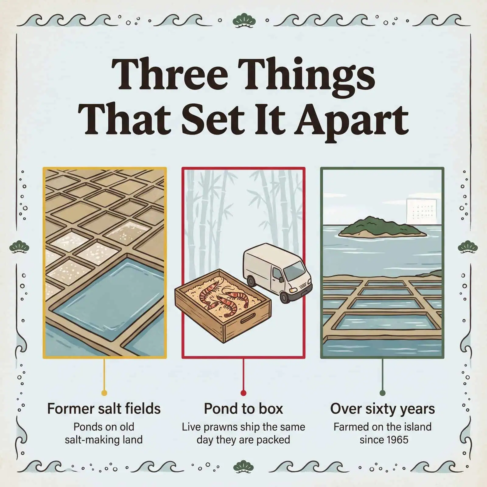 Illustration of three things that set Himeshima kuruma prawn apart: former salt fields, pond-to-box shipping and over sixty years of farming
