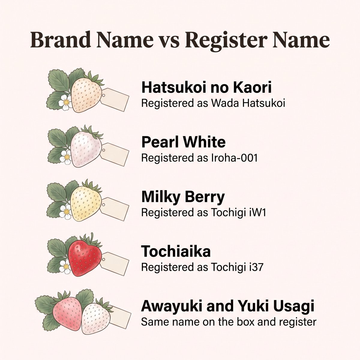 Illustration of brand names and their registered cultivar names for Japanese strawberries