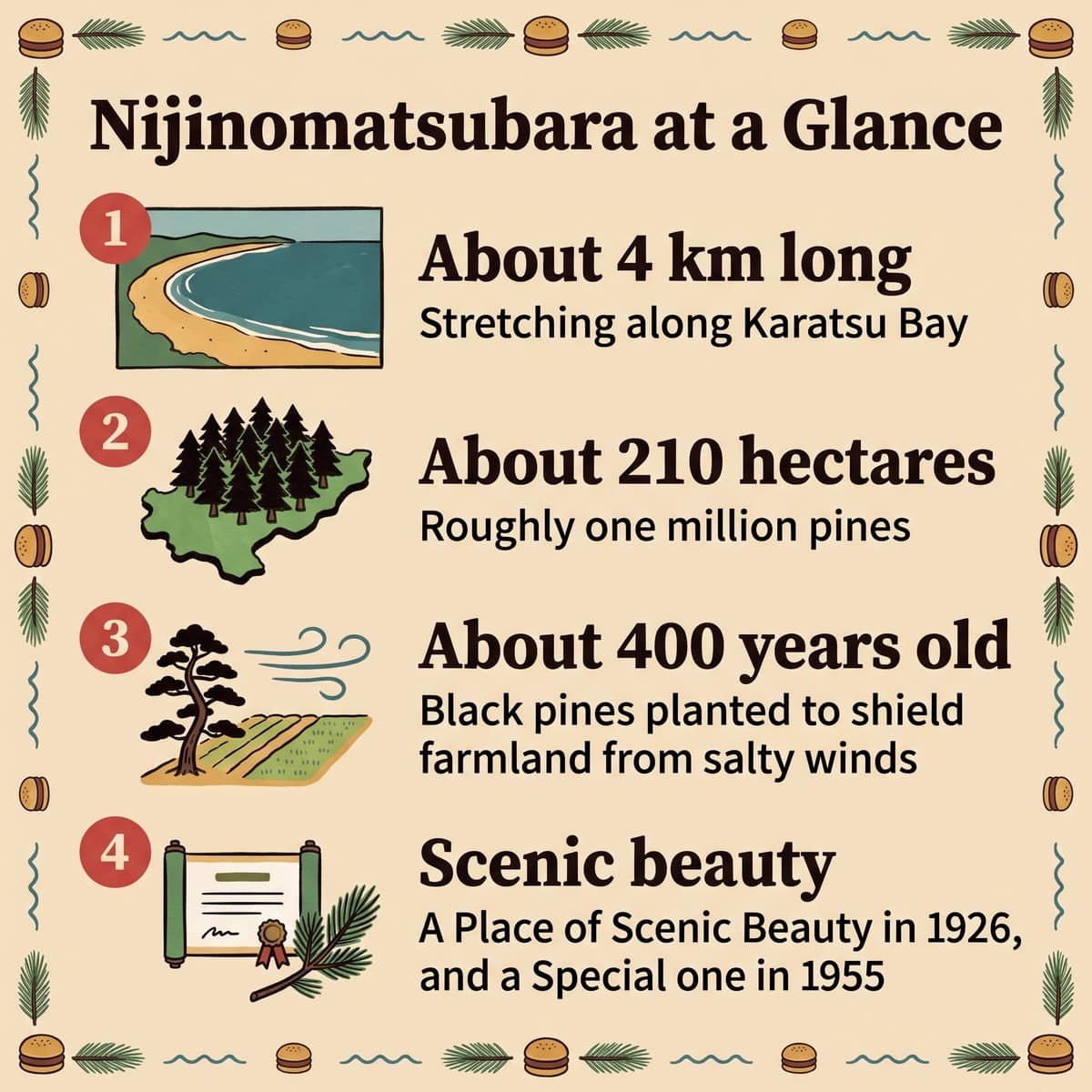 Illustrated four facts about Nijinomatsubara: about 4 km long, about 210 hectares, about 400 years old and its scenic beauty designation
