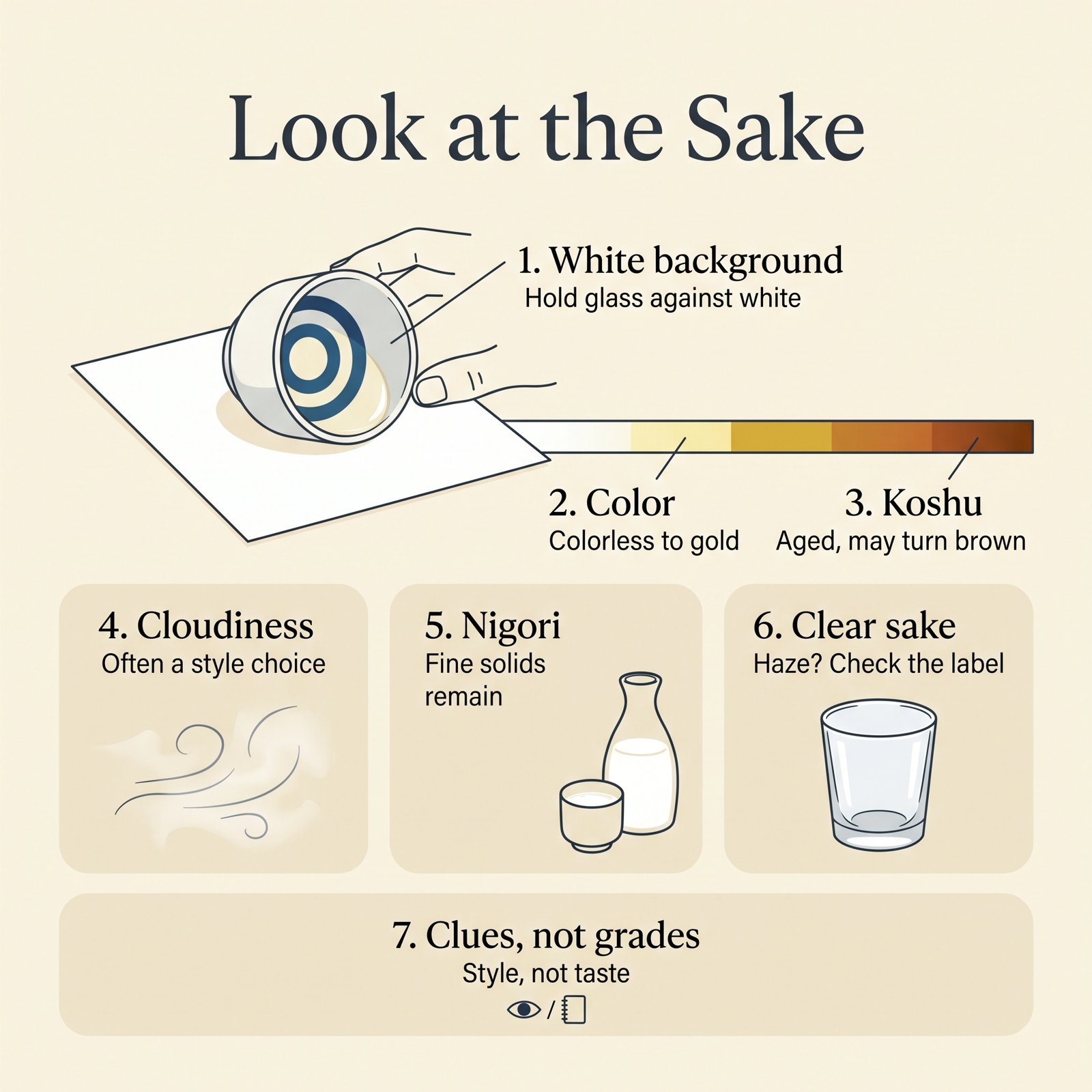 Illustration of looking at sake: holding the glass against white, color from colorless to gold and brown, cloudiness, nigori and clear sake