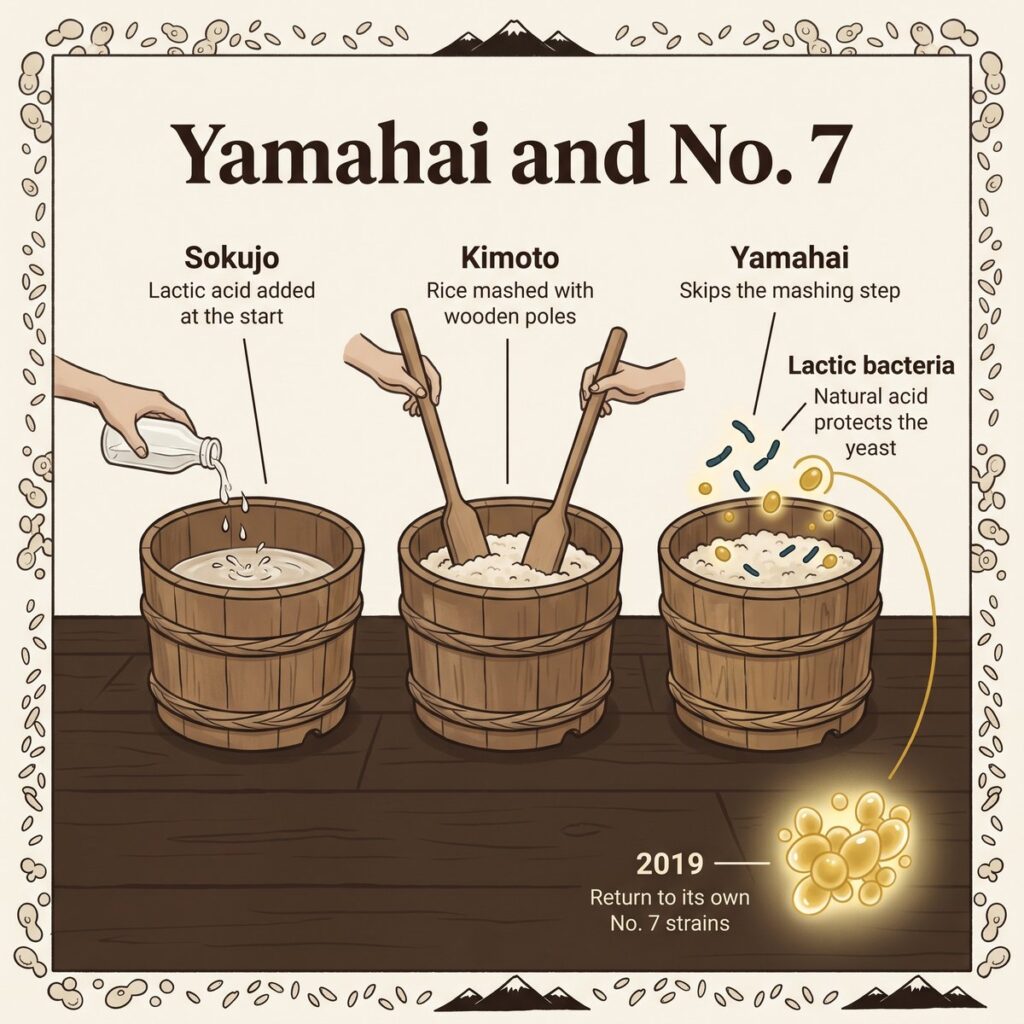Hefestarter Sokujo, Kimoto und Yamahai im Vergleich und die Rückkehr zu den No.-7-Stämmen im Jahr 2019