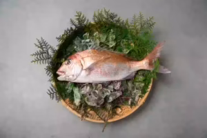 naruto tai - 鳴門鯛