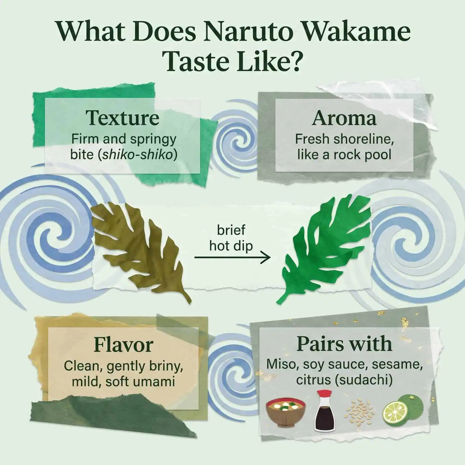 Naruto wakame taste guide: texture, aroma, flavor, pairings, and the brown-to-green color change