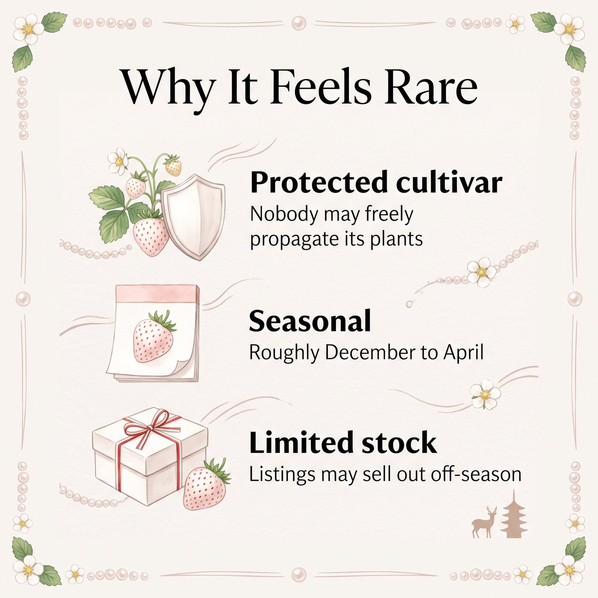 Illustration of why Pearl White feels rare: a protected cultivar, a seasonal fruit and limited stock