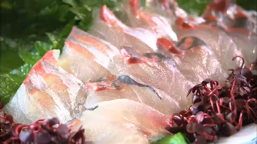 seki aji 関あじ