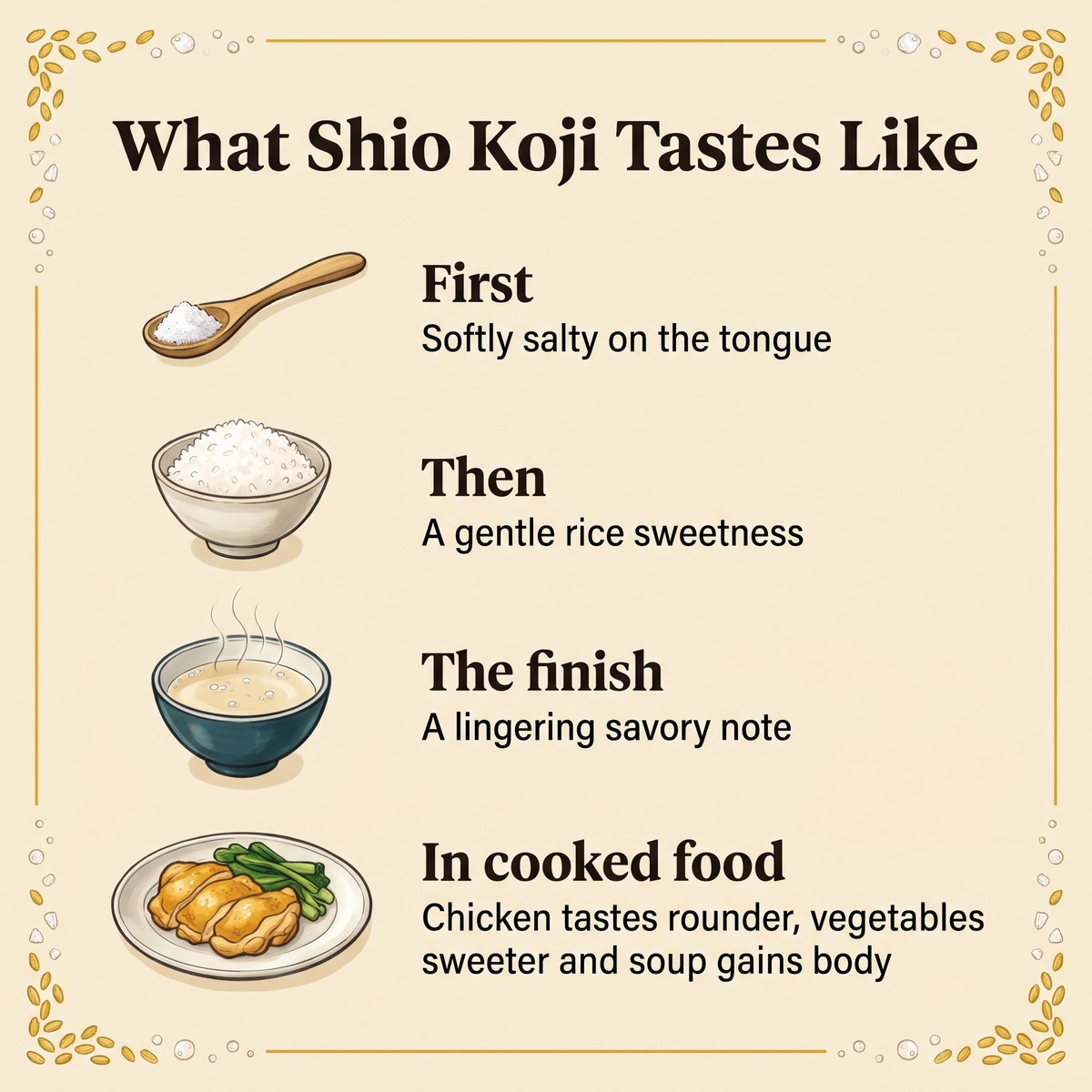 Liste illustrée de la saveur du shio koji : d'abord doucement salé, puis la douceur du riz, une finale savoureuse et son effet dans les plats cuits