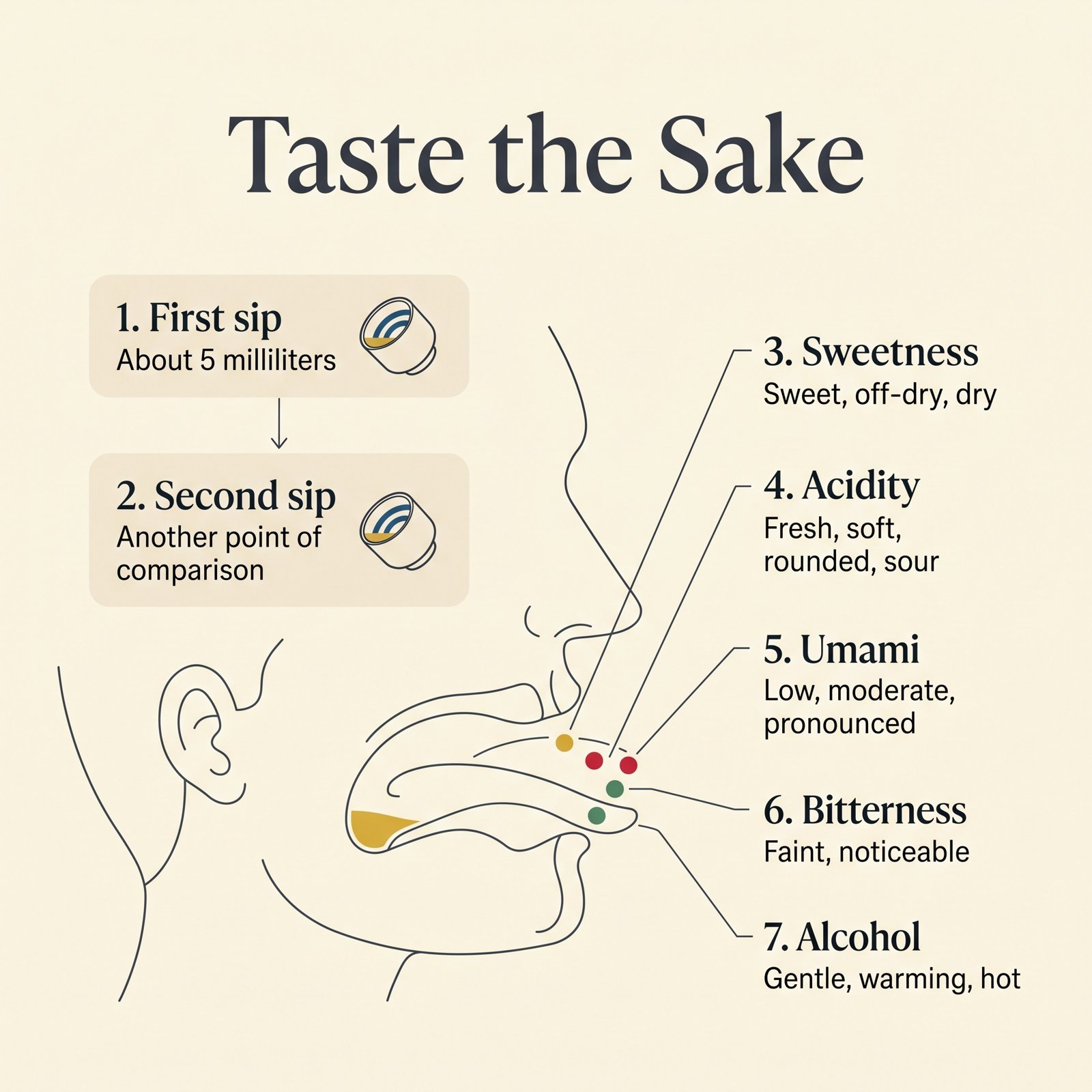 Illustration of tasting sake: a first and second sip and the elements to notice, sweetness, acidity, umami, bitterness and alcohol