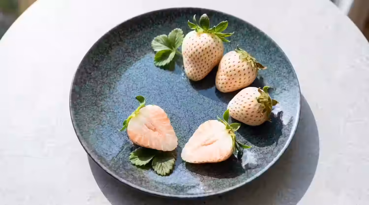 Yuki Usagi white strawberries on a blue ceramic plate, whole pinkish-white berries with red seeds and two halves showing pale pink flesh