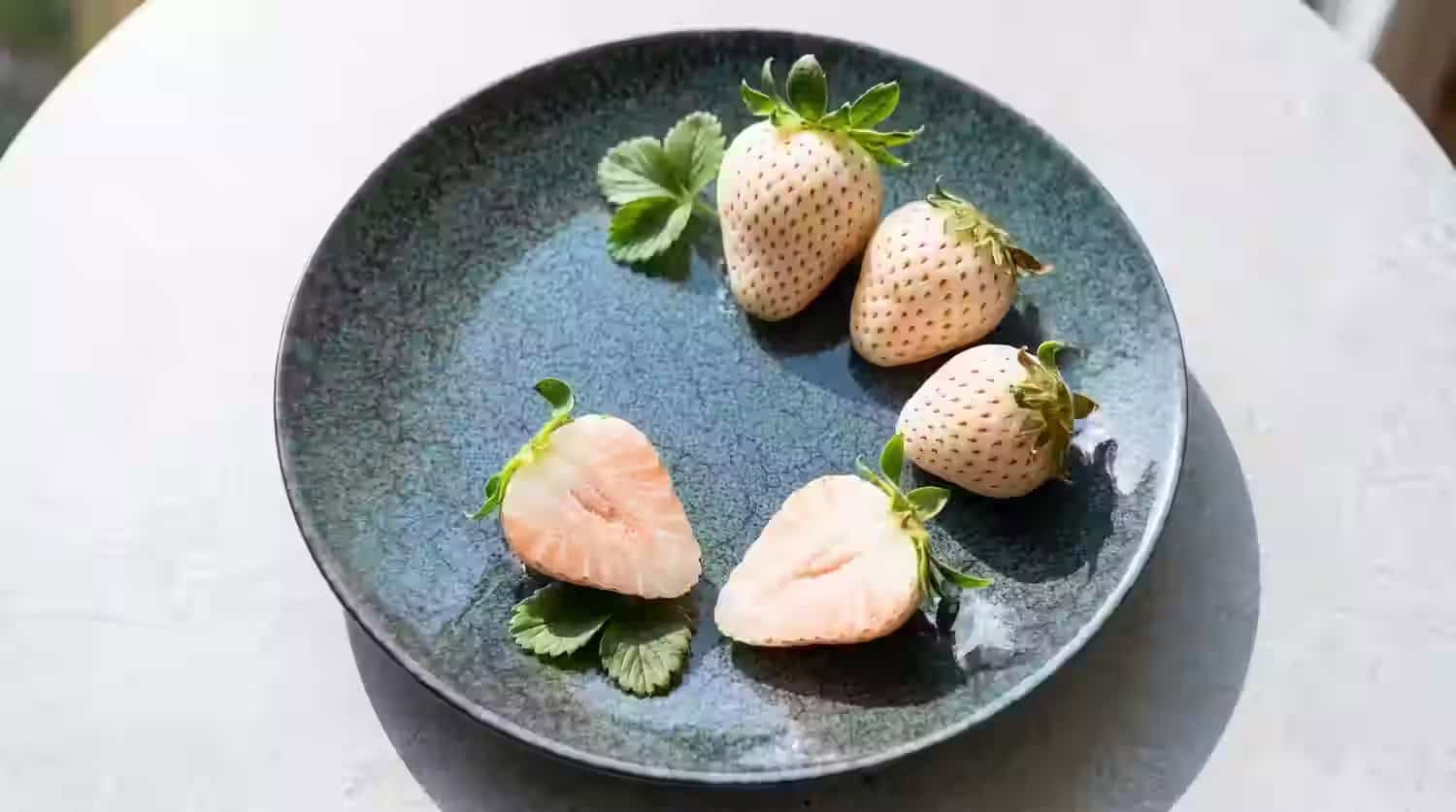 Yuki Usagi Strawberry (雪うさぎ)