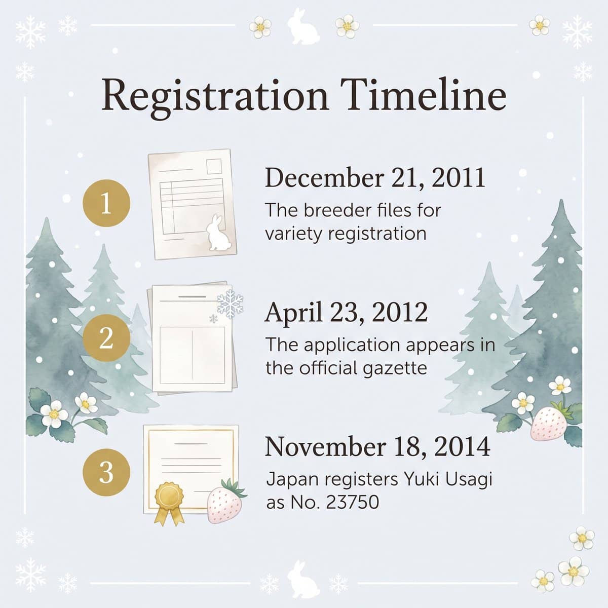 Yuki Usagi 등록 연표 일러스트: 2011년 출원, 2012년 공보 게재, 2014년 등록